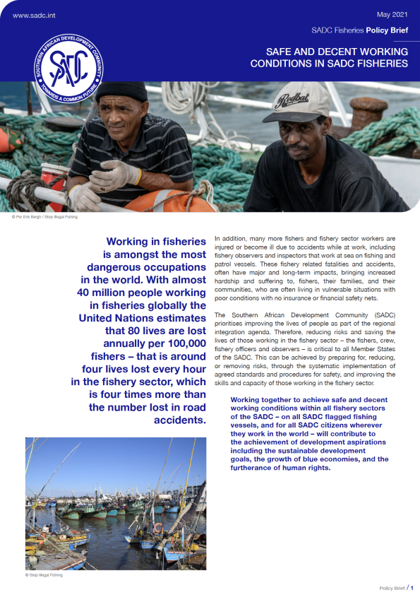 Image of cover for: Policy Brief – May 2021