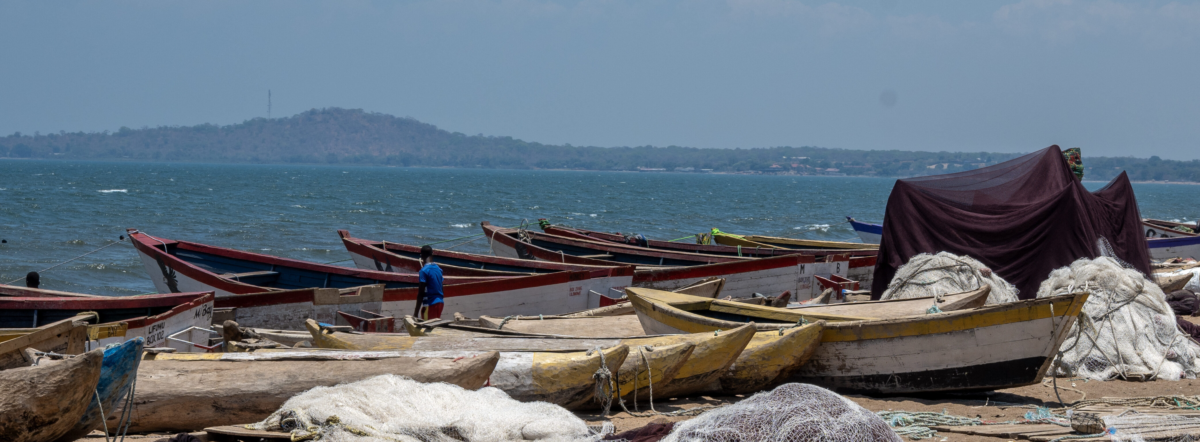 Image for Invitation to the MCSCC Webinar “Protecting our fisheries from the disaster of monofilament nets: a regional call for action”, 20 May 2026, 14.00 (GMT+2), Zoom